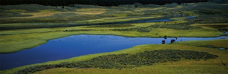 “Ribbons of Blue, Hayden Valley, Yellowstone National Park, Wyoming,” a photo by Thomas M. Mangelsen (mangelsen.com). Above photo: While picnicking along the Yellowstone River, Mangelsen and Jane Goodall shared a toast to a memorable day of seeing spring bears, wolves and bison. Yellowstone’s impact as the global progenitor of wildlife preserves cannot be overstated, Goodall says.