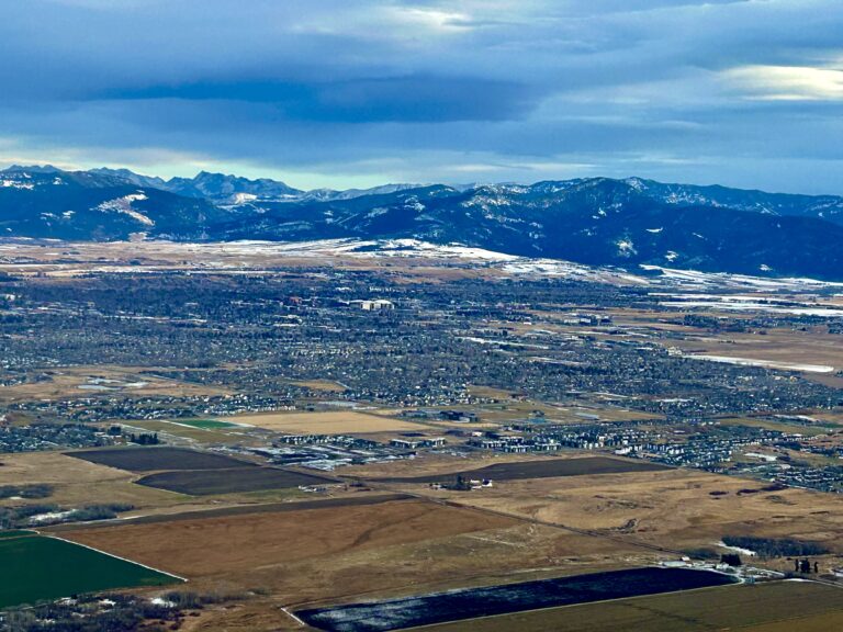 Welcome To The De-Wilding West We Could Be Avoiding - Yellowstonian